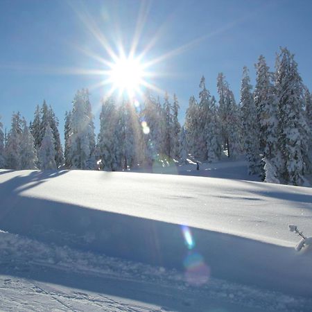 Ferienanlage Reithof Filzmoos Esterno foto